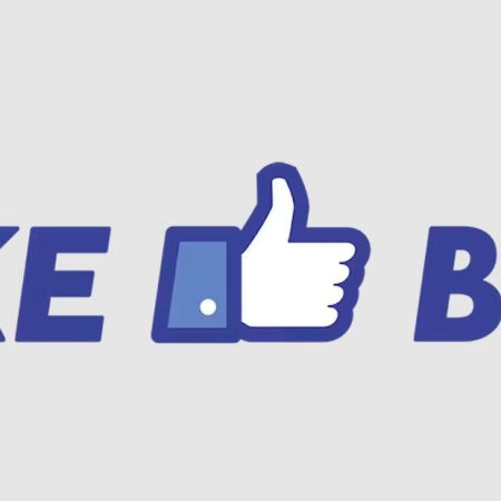 Likebus — відгуки клієнтів і огляд компанії